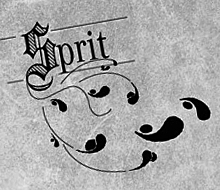 Mercedes Spritsparbibel